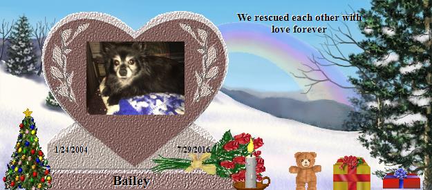 Bailey's Rainbow Bridge Pet Loss Memorial Residency Image