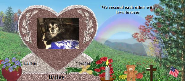 Bailey's Rainbow Bridge Pet Loss Memorial Residency Image