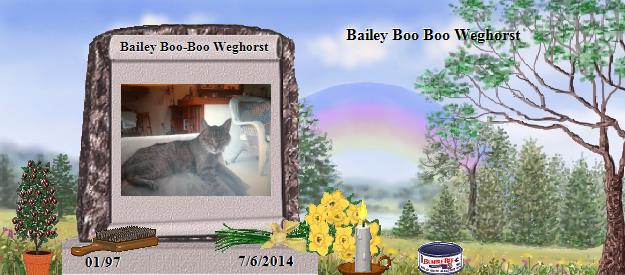 Bailey Boo-Boo Weghorst's Rainbow Bridge Pet Loss Memorial Residency Image