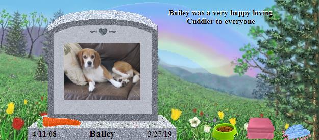 Bailey's Rainbow Bridge Pet Loss Memorial Residency Image