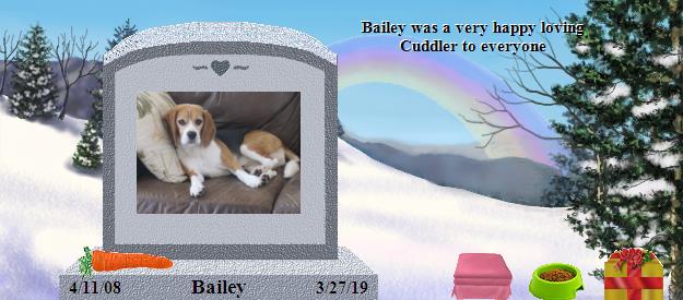 Bailey's Rainbow Bridge Pet Loss Memorial Residency Image