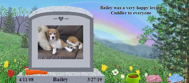 Bailey's Rainbow Bridge Pet Loss Memorial Residency Image