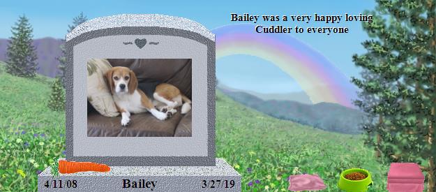 Bailey's Rainbow Bridge Pet Loss Memorial Residency Image