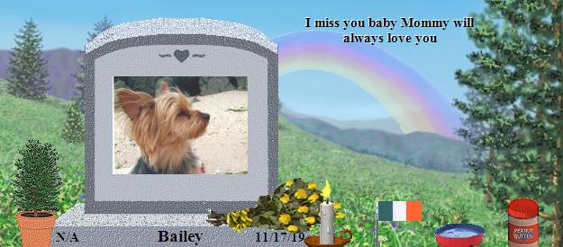 Bailey's Rainbow Bridge Pet Loss Memorial Residency Image