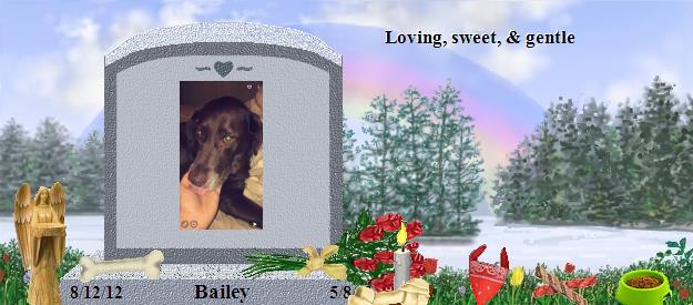 Bailey's Rainbow Bridge Pet Loss Memorial Residency Image