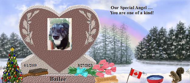 Bailee's Rainbow Bridge Pet Loss Memorial Residency Image