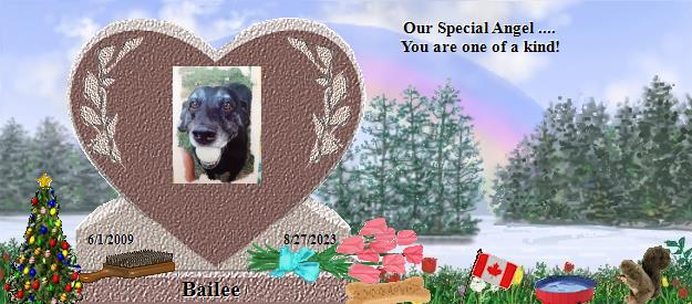 Bailee's Rainbow Bridge Pet Loss Memorial Residency Image