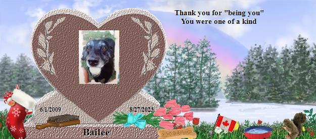Bailee's Rainbow Bridge Pet Loss Memorial Residency Image