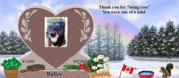 Bailee's Rainbow Bridge Pet Loss Memorial Residency Image