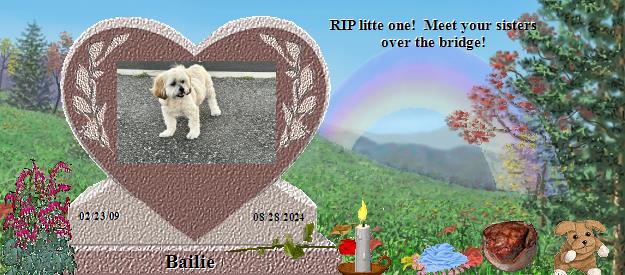 Bailie's Rainbow Bridge Pet Loss Memorial Residency Image