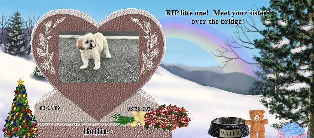 Bailie's Rainbow Bridge Pet Loss Memorial Residency Image