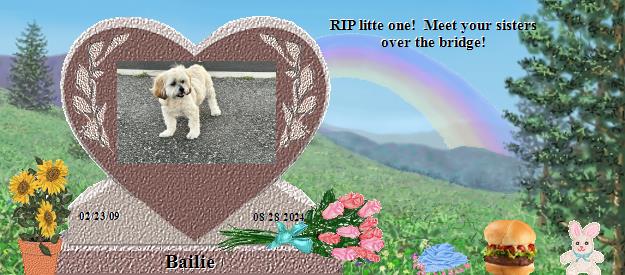 Bailie's Rainbow Bridge Pet Loss Memorial Residency Image
