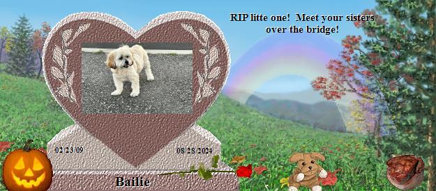 Bailie's Rainbow Bridge Pet Loss Memorial Residency Image