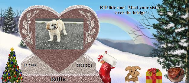 Bailie's Rainbow Bridge Pet Loss Memorial Residency Image