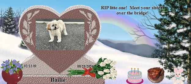Bailie's Rainbow Bridge Pet Loss Memorial Residency Image