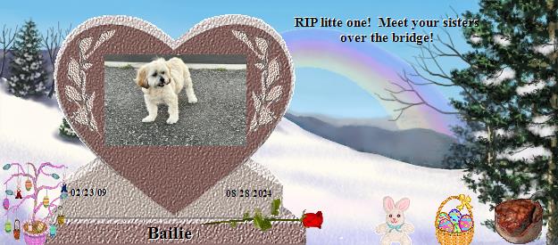 Bailie's Rainbow Bridge Pet Loss Memorial Residency Image