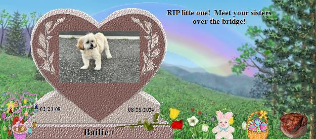 Bailie's Rainbow Bridge Pet Loss Memorial Residency Image