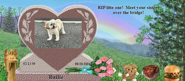 Bailie's Rainbow Bridge Pet Loss Memorial Residency Image