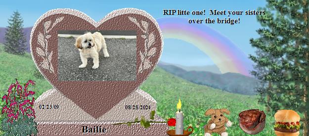 Bailie's Rainbow Bridge Pet Loss Memorial Residency Image