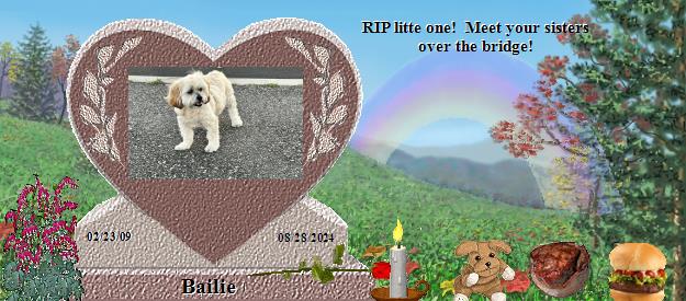 Bailie's Rainbow Bridge Pet Loss Memorial Residency Image