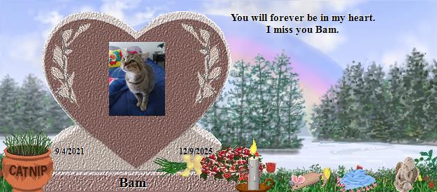 Bam's Rainbow Bridge Pet Loss Memorial Residency Image