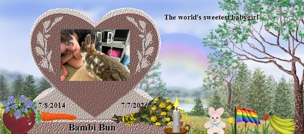 Bambi Bun's Rainbow Bridge Pet Loss Memorial Residency Image
