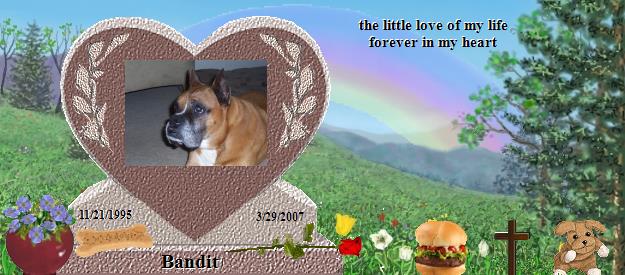 Bandit's Rainbow Bridge Pet Loss Memorial Residency Image