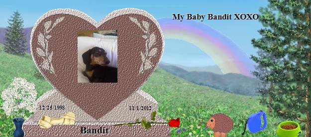 Bandit's Rainbow Bridge Pet Loss Memorial Residency Image