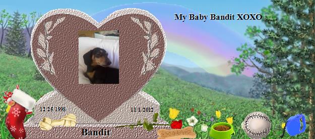 Bandit's Rainbow Bridge Pet Loss Memorial Residency Image