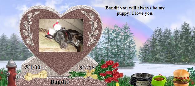 Bandit's Rainbow Bridge Pet Loss Memorial Residency Image