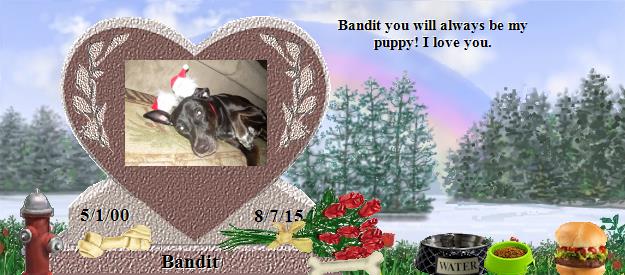 Bandit's Rainbow Bridge Pet Loss Memorial Residency Image