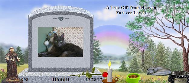 Bandit's Rainbow Bridge Pet Loss Memorial Residency Image