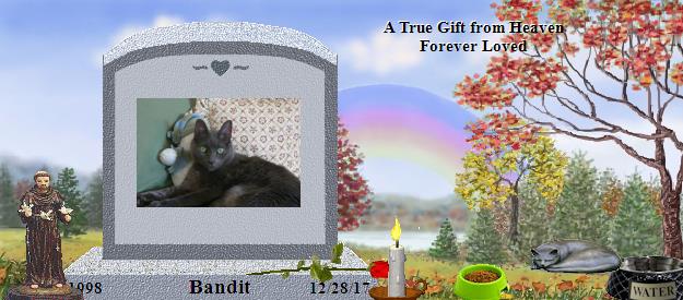 Bandit's Rainbow Bridge Pet Loss Memorial Residency Image