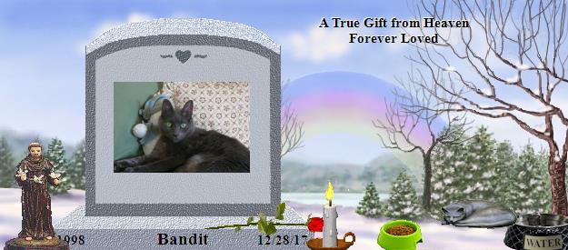 Bandit's Rainbow Bridge Pet Loss Memorial Residency Image
