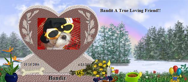 Bandit's Rainbow Bridge Pet Loss Memorial Residency Image