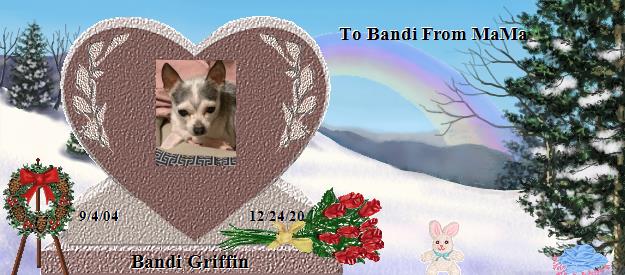 Bandi Griffin's Rainbow Bridge Pet Loss Memorial Residency Image