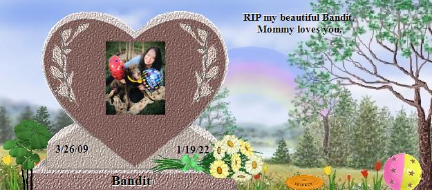 Bandit's Rainbow Bridge Pet Loss Memorial Residency Image