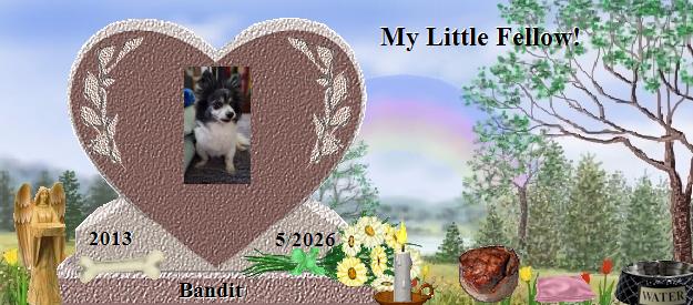 Bandit's Rainbow Bridge Pet Loss Memorial Residency Image