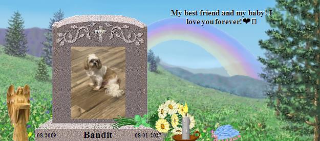 Bandit's Rainbow Bridge Pet Loss Memorial Residency Image