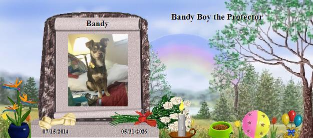 Bandy's Rainbow Bridge Pet Loss Memorial Residency Image