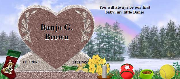 Banjo G. Brown's Rainbow Bridge Pet Loss Memorial Residency Image