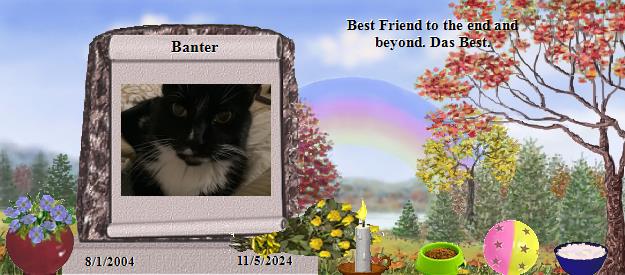 Banter's Rainbow Bridge Pet Loss Memorial Residency Image