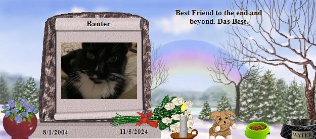 Banter's Rainbow Bridge Pet Loss Memorial Residency Image