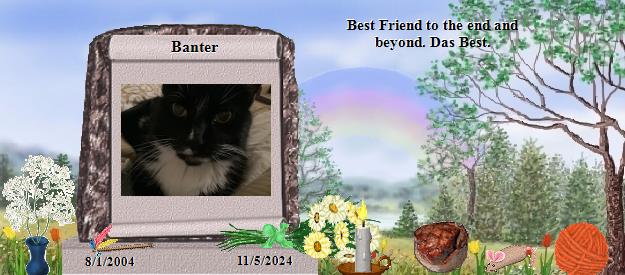 Banter's Rainbow Bridge Pet Loss Memorial Residency Image