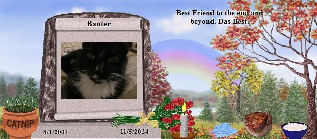 Banter's Rainbow Bridge Pet Loss Memorial Residency Image