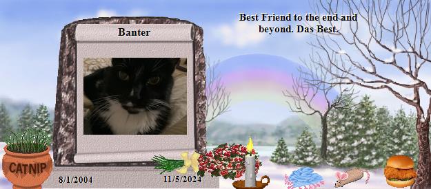 Banter's Rainbow Bridge Pet Loss Memorial Residency Image