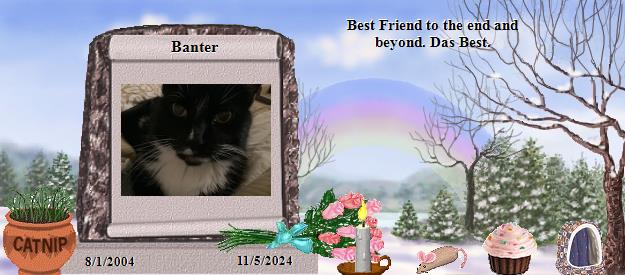 Banter's Rainbow Bridge Pet Loss Memorial Residency Image