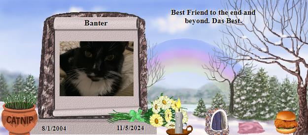 Banter's Rainbow Bridge Pet Loss Memorial Residency Image
