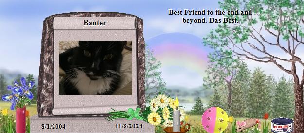Banter's Rainbow Bridge Pet Loss Memorial Residency Image