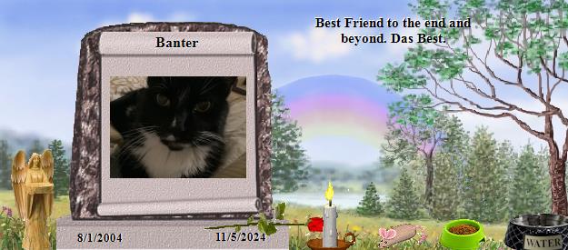 Banter's Rainbow Bridge Pet Loss Memorial Residency Image